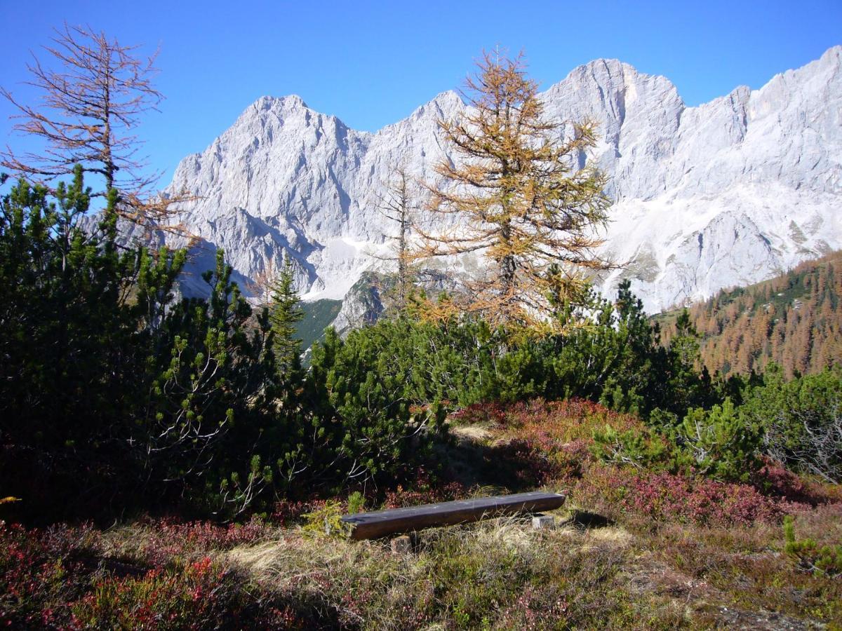 Appartements Wiesbach Ramsau am Dachstein Exteriör bild